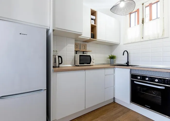 Apartamento 394 Renovated Duplex Parque Santiago Ii *